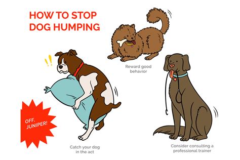 Humping Porn Videos .